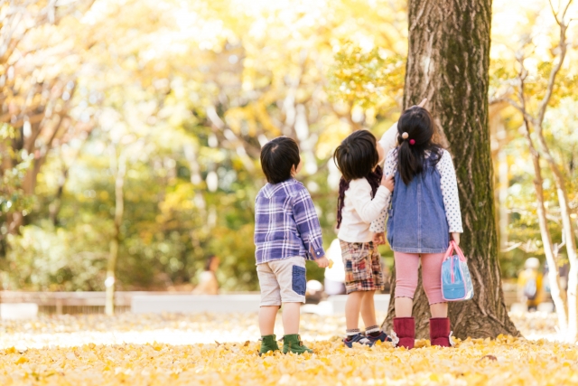 秋の公園遊び方幼児子ども
